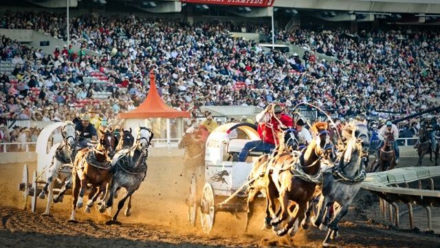 Photo Credit: Mike Ridewood