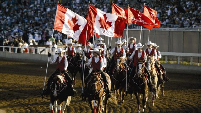 Calgary Stampede 2007.(MIKE STURK PHOTO)